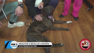 Tail Waggin’ Tuesday: Adopt this adorable furry friend!