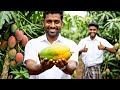 ඔබේ වගාව මොකක් වුණත්,නිරෝගී අස්වැන්නකට අපෙන් විසඳුම්.!