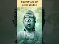 힘들고 지친 당신을 위한 부처님의 말씀 세가지 명언 자기수행 좋은글 깊은치유 인생조언 긍정적마인드 힘들고 지친 당신을 위한 부처님의 말씀 세가지 명언 자기수행 좋은글 깊은치유 인생조언 긍정적마인드