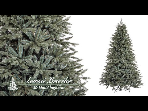 Video: Stejar De Piatră (24 De Fotografii): Descriere A Stejarului Mediteranean Veșnic Verde, Utilizarea Acestuia, Boli și Dăunători