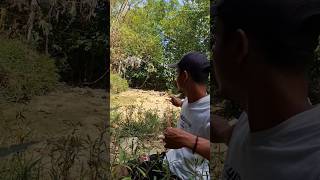 Tepat sasaran #shorts #blibis