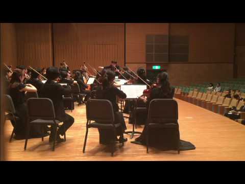 Schumann Symphonie Nr.3 Es-Dur op.97《Rheinische》/Daiki