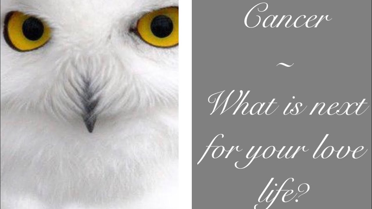 Cancer - Love...😜 - 1st 1/2 June - Your silence will bring you a happy ending! ✨✨✨