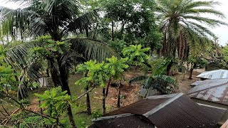 Peaceful Cloudy and Windy Weather Before Rain  in a Bangladeshi Village | Rainy Weather screenshot 2