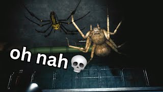 this GIANT SPIDER HORROR game should be ILLEGAL (HUNTSMAN)