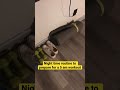 Working out after 40 | Night time routine to prepare for a 5 am workout