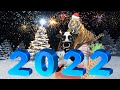 А на пороге Новый Год 2022 🎄 Лучшая Новогодняя Песня 🎄 С Новым Годом! @Позитив для друзей