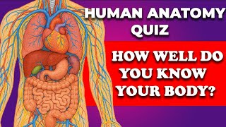 Can You Pass This Human Body Quiz? Take This 25-Question Human Anatomy Quiz