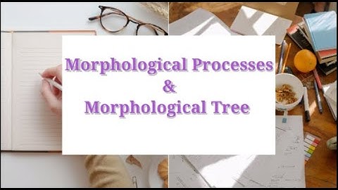 Morphological Processes & Morphological Tree