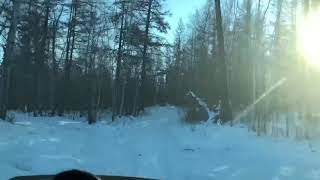 Подлёдная рыбалка в Якутии. СЕВЕРНАЯ ОХОТА - NORTH HUNTING