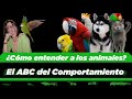 El idioma de los animales | Hablemos de: El ABC del comportamiento