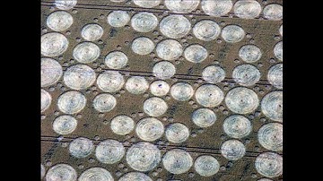 Magic Tree Mandala ~ Prashant Trivedi