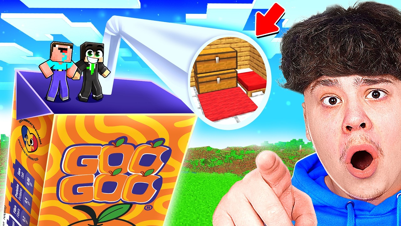 CE SE AFLA IN GOO GOO ?