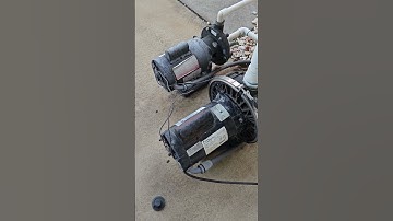 Pool pump makes humming noise but doesn