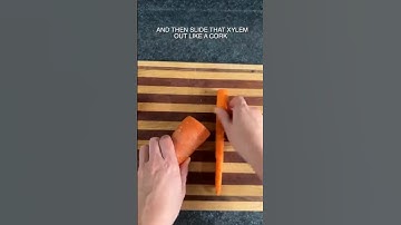 Carrot inner core removal hacks 😱 #magic #shorts #experiment #experiements #funny #experimnent
