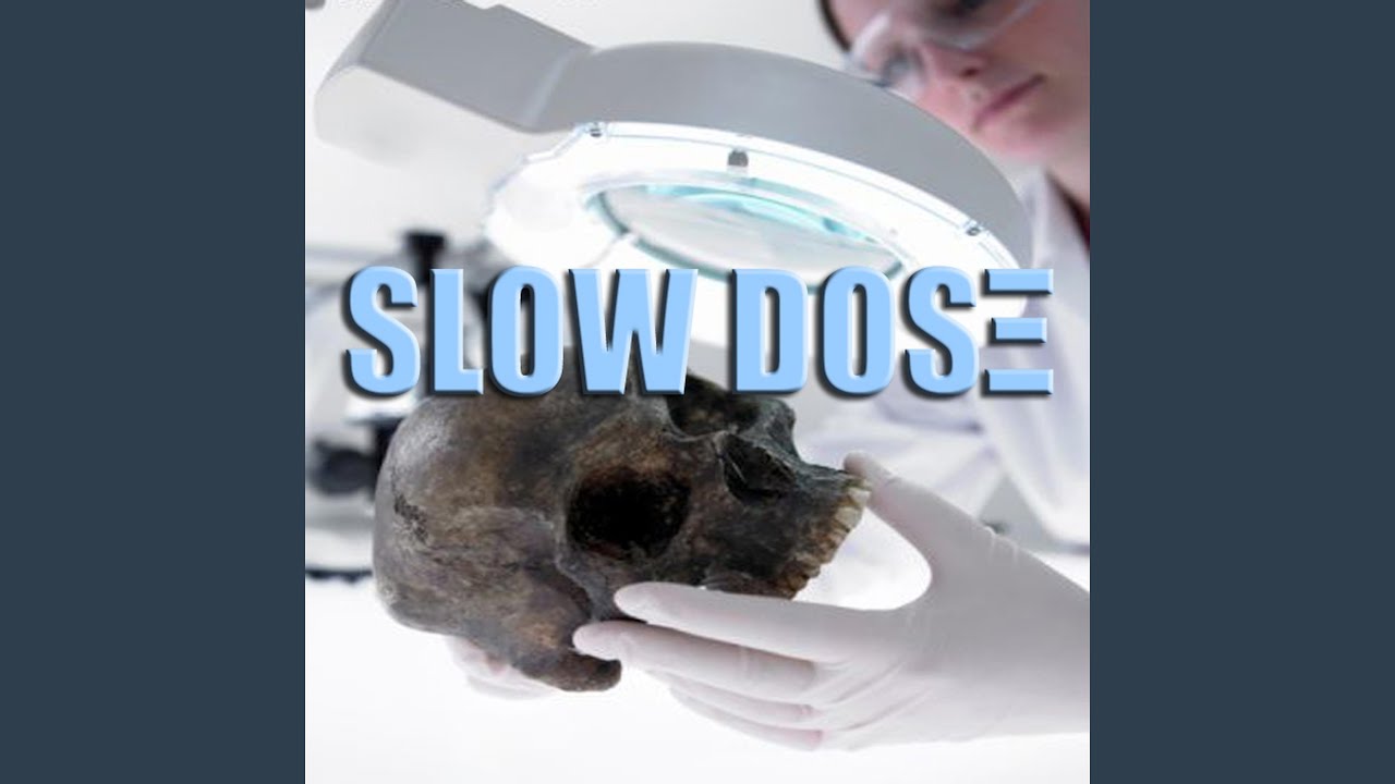 TRANSIT auf YouTube ansehen TRANSIT auf YouTube ansehen