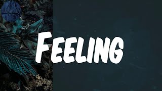 (Lyrics) Feeling - LADIPOE