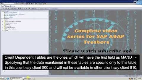 SAP ABAP, What is MANDT field and client dependency in Table ?