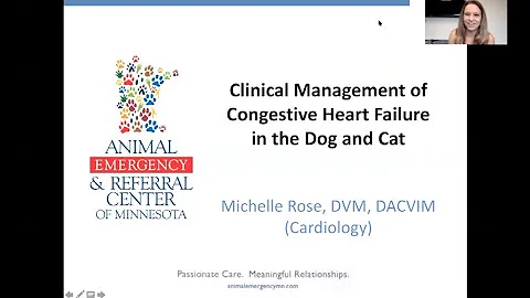 Clinical Management of Congestive Heart Failure in the Dog and Cat