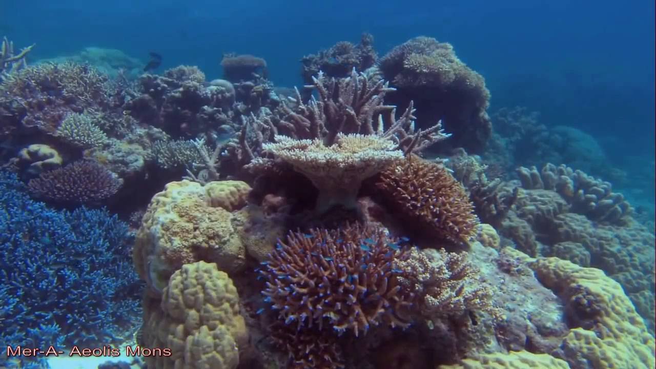 Mer-A -Aeolis Mons-HD Video-Ambient