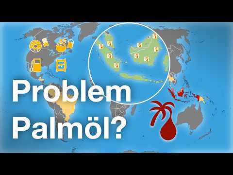 Ist Palmöl besser als sein Ruf?