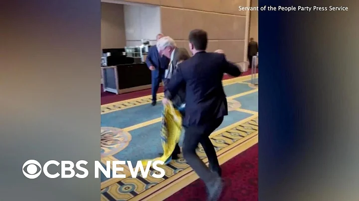 Fistfight erupts when Russian diplomat rips down Ukrainian flag at conference - DayDayNews