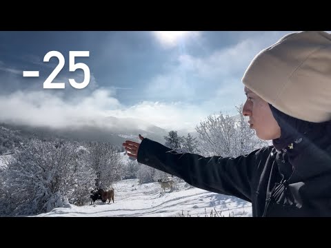 KÖYDE YAŞAM -25 DERECE / ZORLU YAŞAM/ BELGESEL