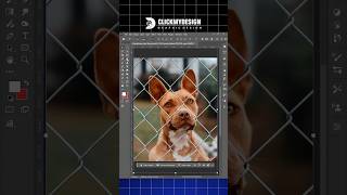 How to Remove Objects in Photoshop: Quick Fence Removal #PhotoshopTips #GraphicDesign #Shorts