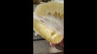 Wow ang saya n nmn natin at nakita natin c kuya L VIEL sa video.