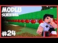 SINIRSIZ MEYVE SİSTEMİ - Minecraft Modlu Survival - #24