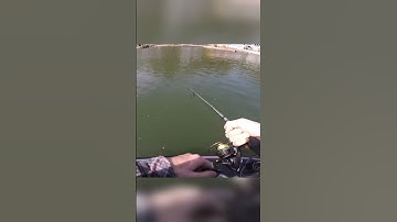 Bass fishing hooksets be like… 😂🎣