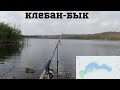 Клебан-бык. Рыбалка в заповедной зоне. Как поймать одну красноперку. Хороший осенний день на рыбалке