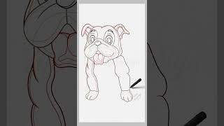 Bulldog sitting with tongue out || Drawing #shorts