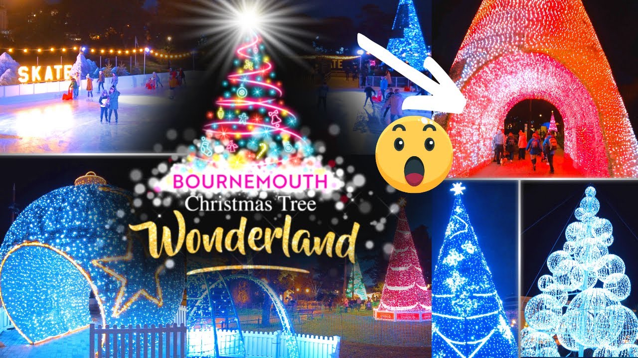 Bournemouth Christmas Tree Wonderland 🎄