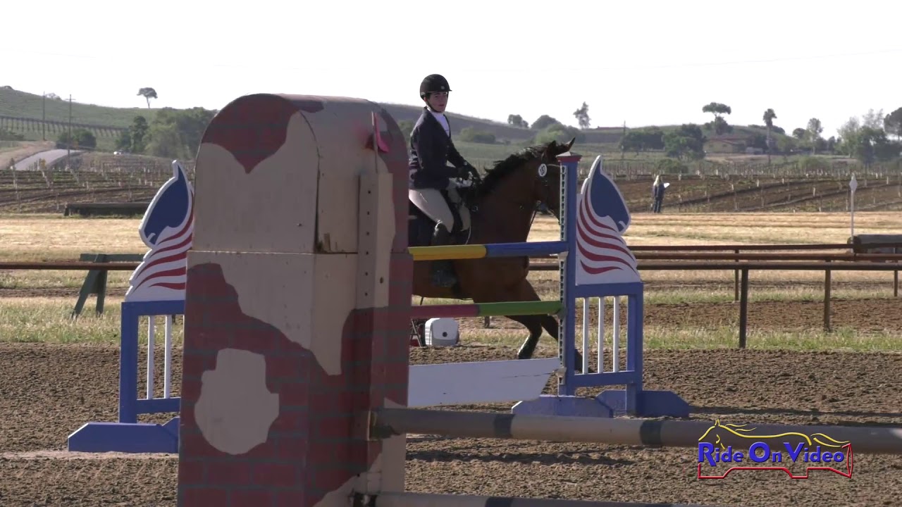 horseshoe bend 187S Juliana Cassar on Knick Knack JR Training Show Jumping Twin Rivers Ranch 2019