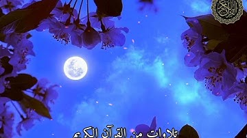 ﴿قد أفلح المؤمنون﴾ سورة المؤمنون بصوت القارئ حمزة الفار