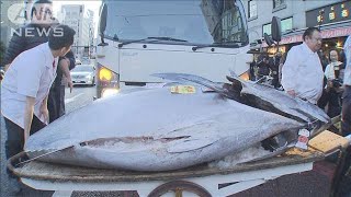 豊洲マグロ初競り1億9320万円で落札　過去2位の高値(20/01/05)