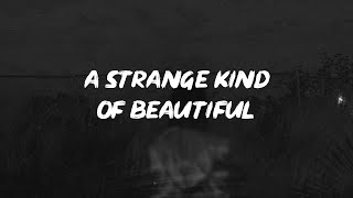 Bruno Major - A Strange Kind Of Beautiful (Lyrics)