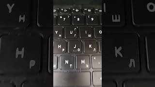 IMG 5449