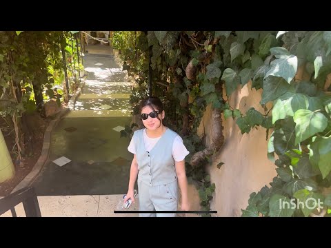 مطعم ساقية الدراويش