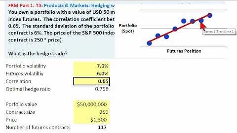 Financial Risk: Optimal hedge of equity portfolio with S&P futures contract, FRM Q&A (hedge)
