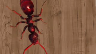 ant smasher gameplay /ant smasher killer screenshot 4