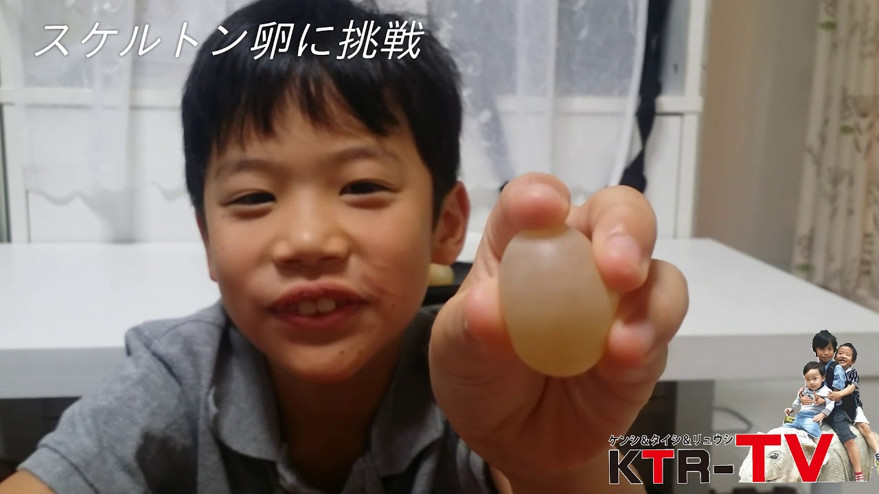 KTR-tv「プニプニ～スケルトンたまご」実験&実食