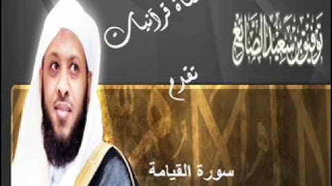 سورة القيامة - توفيق الصايغ