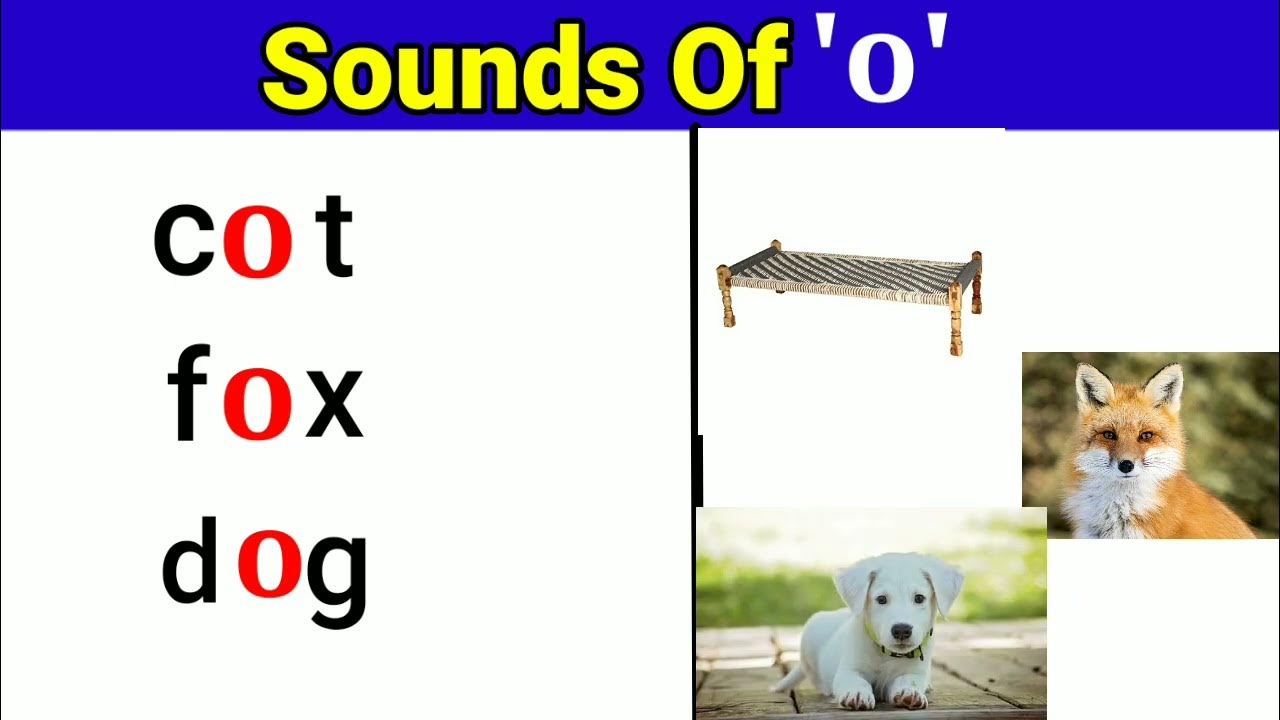 Sounds Of o o Sound Words In English Short Vowels O Sound top-5-short-vowel-i-words-list-2022