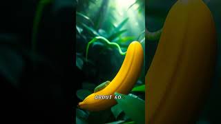 5 Facts To Blow Your Mind shorts