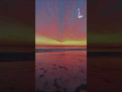 قال رسول الله صلى الله عليه وسلم وددت أنها في قلب كل مؤمن