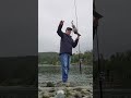 Baby Rockfish #fishing #bassfishing #catchandrelease #fish #viral #viralvideo #shimano #pinoy #crab