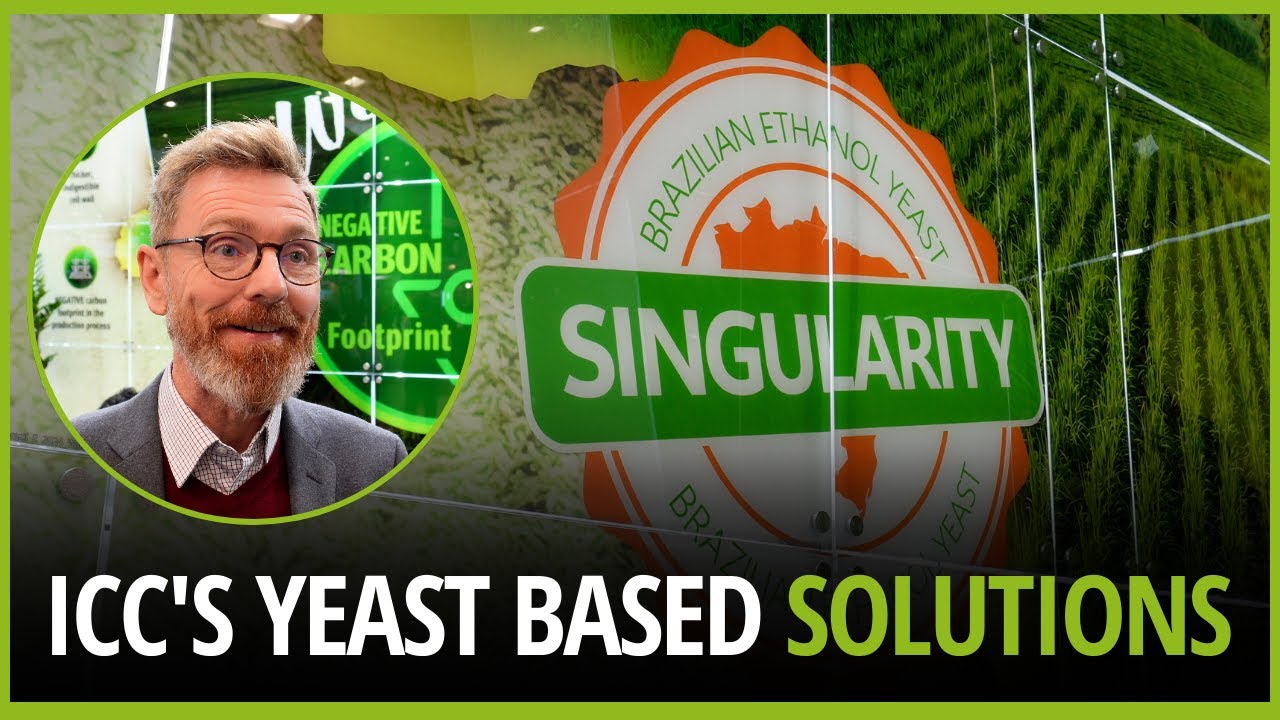 Realizing a negative carbon footprint with ICC's yeast solutions