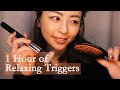 ASMR 1 Hour of Relaxing Triggers